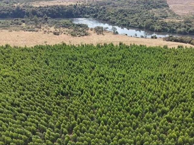 #101 - Fazenda para Venda em Itu - SP