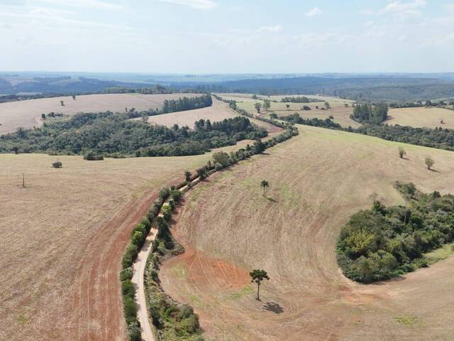 #102 - Fazenda para Venda em Capão Bonito - SP