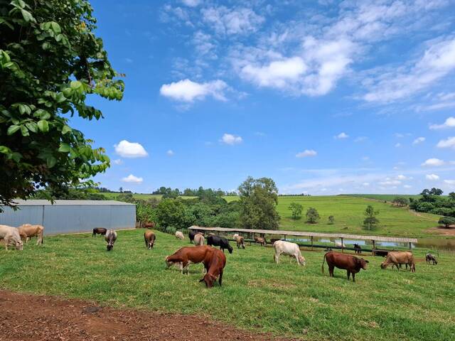 #103 - Sítio para Venda em Tatuí - SP