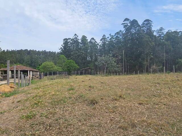 #104 - Fazenda para Venda em Curitiba - PR