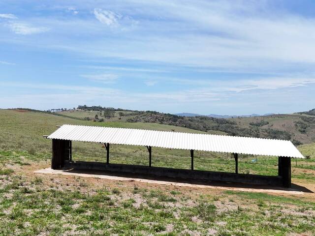 #105 - Fazenda para Venda em Capão Bonito - SP