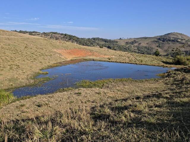 #105 - Fazenda para Venda em Capão Bonito - SP