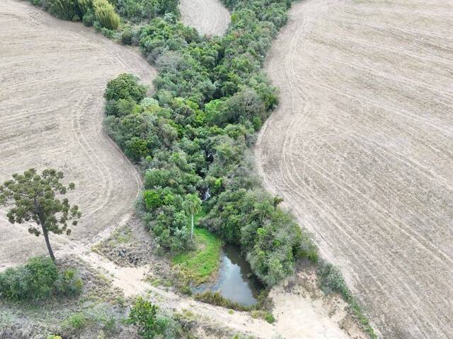 #109 - Sítio para Venda em Itapetininga - SP