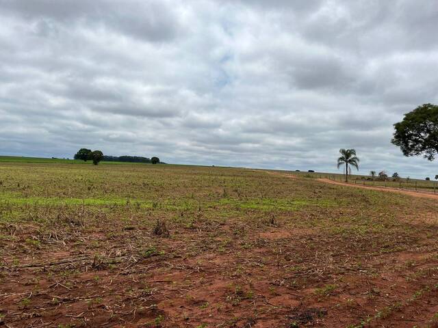 #110 - Sítio para Venda em Santa Cruz do Rio Pardo - SP