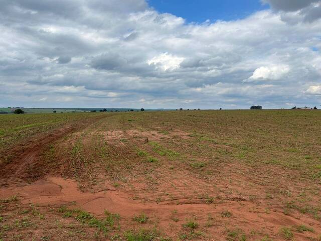 #110 - Sítio para Venda em Santa Cruz do Rio Pardo - SP