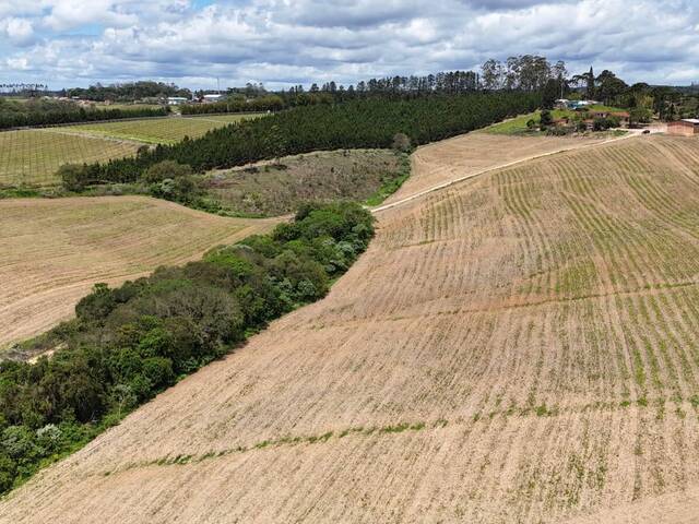 #115 - Sítio para Venda em São Miguel Arcanjo - SP