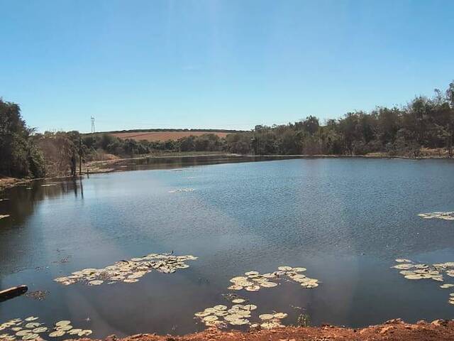 #119 - Fazenda para Venda em Avaré - SP