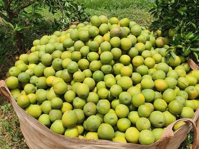 #119 - Fazenda para Venda em Avaré - SP