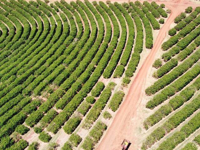 #119 - Fazenda para Venda em Avaré - SP
