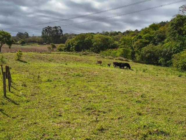 #125 - Sítio para Venda em Itapetininga - SP