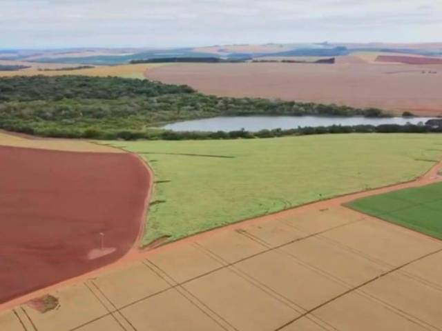 #127 - Fazenda para Venda em Itaberá - SP