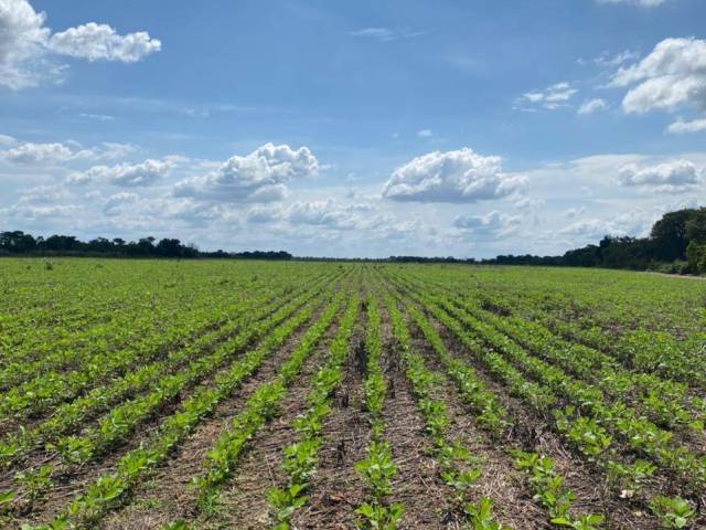 #129 - Fazenda para Venda em Curralinhos - PI