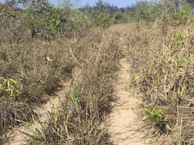 #134 - Fazenda para Venda em Paranatinga - MT