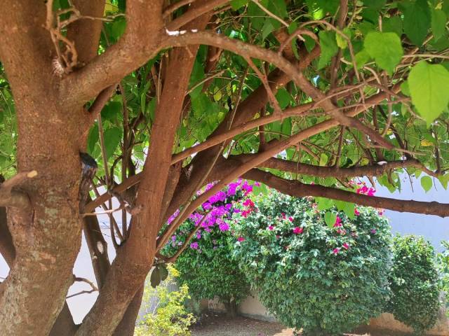 #137 - Casa para Venda em Itapetininga - SP