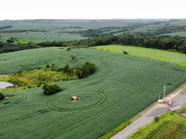 #139 - Fazenda para Venda em Itapetininga - SP