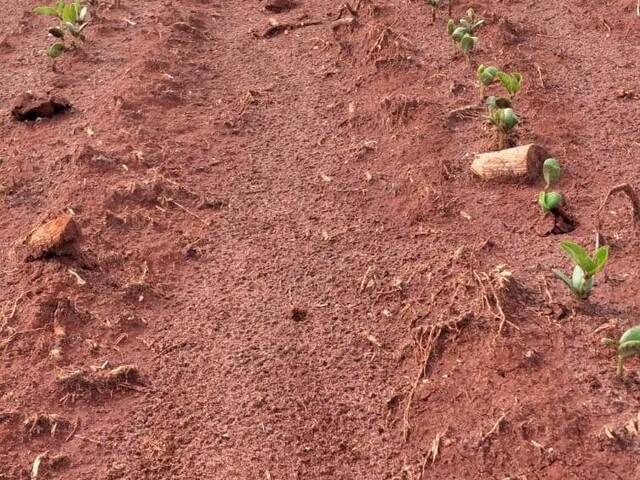 #143 - Fazenda para Venda em Paraíso das Águas - MS