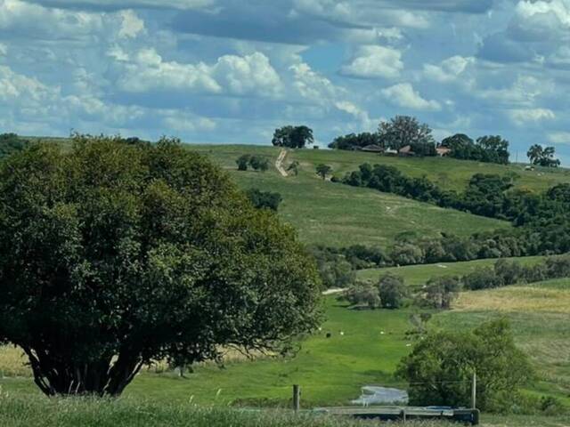 #149 - Fazenda para Venda em Porto Feliz - SP