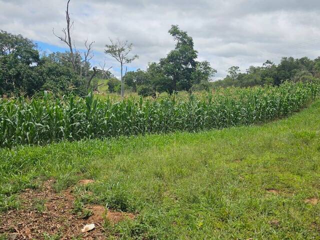#152 - Sítio para Venda em Itapetininga - SP
