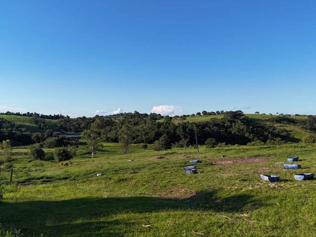 #154 - Sítio para Venda em Itapetininga - SP