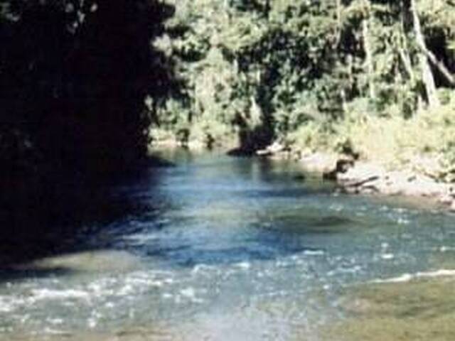 #158 - Sítio para Venda em Iporanga - SP