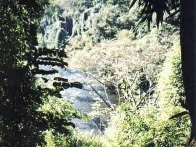  para  em  - 4