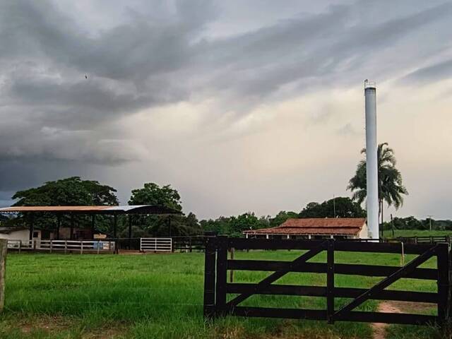 #159 - Sítio para Venda em Cardoso - SP