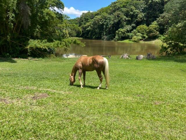 #166 - Haras para Venda em São Roque - SP