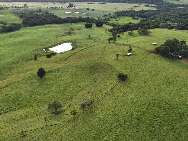 #167 - Sítio para Venda em Itapetininga - SP