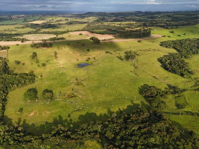 #167 - Sítio para Venda em Itapetininga - SP